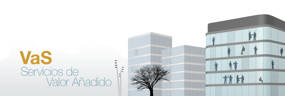 Servicios de Valor Añadido Servicios de Valor Añadido